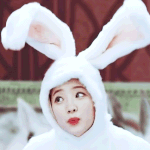 [드루와] 와 ㅅㅂ <b>수요일</b>이다