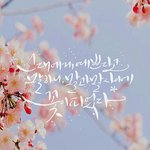 [댓글부탁해] <b>캘리</b>그라피 글씨 넣을만한! 배경좀 올려줘