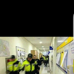 박그네 탄핵하라고하는사람들 특징