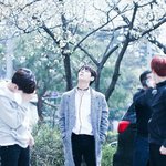 [댓글부탁해] 트위터 아이돌 홈<b>마분들</b> 알려줘ㅠㅠ