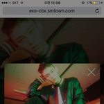 [EXO] 가로 종대사진 <b>피씨</b>버전 ㄱㄱ