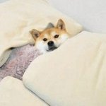 좋은 남자의 기준이 뭐야??