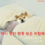 [방탄소년단] 난 <b>이제</b> 무서워서 밖에 못나가