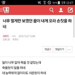 [세븐틴] @<b>밑글</b> ㅂㅁㄱ 내용여기@