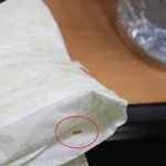 [꼭댓글부탁] <b>이</b> 억울함은 어쩌죠? (사진)