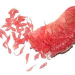 [조언부탁해] <b>홀수</b>무리 조언좀