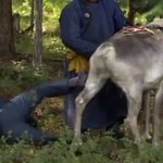 [BTOB] 이창섭 이번주 <b>정법</b> 걱정된다