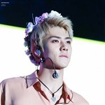 [세훈] 161022 <b>롯데</b> 팸콘 고화질42