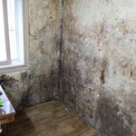 [내가병신임] <b>곰팡이집</b>을 샀어요...