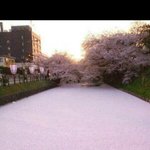 설레는 <b>일화</b> 풀고가!!