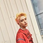 [댓글부탁해] 임시완 닮은 남돌