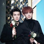 [EXO] 이거보고 진심 <b>누가</b> 꽃인지