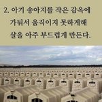 송아지고기.. 들어보셨나요?