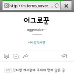 [세븐틴] 어그로의 <b>정의</b>