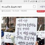 [개깊은빡침] 우리나라가 점점 <b>시트콤</b>인 증거