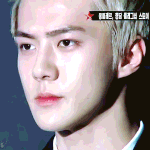 [세훈] 161028 몽클레르 <b>런칭</b>행사 움짤