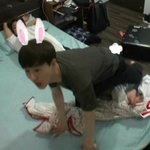 [<b>수호</b>] 면토끼짤!!!있으신분~