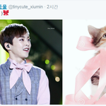 [시우민] 핑크<b>리본</b> 슈냥이 ㅋ(시우민)