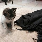 [BAP] 오빠