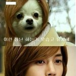[댓글부탁해] 아이린 임나영 <b>성소</b> 김세정 설현