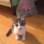 우리 <b>베니</b> 자랑하러 왔어요~