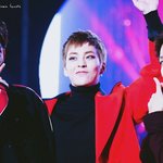 [EXO] 난 투표 이기고있어서 존잼인데