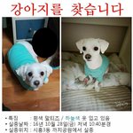 [방탈죄송] 한번이라도 꼭 봐주세요 ㅜㅜ