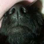 [EXO] <b>음영</b> 섀도 ㅊㅊ좀