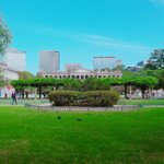[조언부탁해] 사진 구도어때??