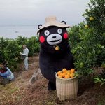 [방탄소년단] <b>열일</b>하는 쿠마몬