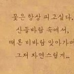 세월호 있잖아