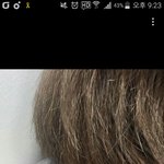 [이삐] 이거 <b>지민이</b> 선물해주고 싶다