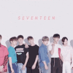 [세븐틴] 캐럿들에게 하고싶은말