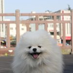 여자들 <b>스타킹신</b>은사진 올려보셈