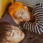 [세븐틴] 밍규보면서 ㅂㅅㅌ