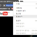 [EXO] 뮤비 음소거로 보는법(링크u)