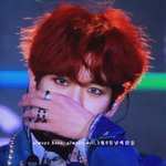 [EXO] 아 변배켠 컨셉<b>소화력</b>