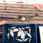 [여행이야기] 아프리카 여행썰 <b>best</b> 5