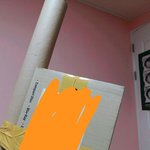 [EXO] 앨범왔다 시바