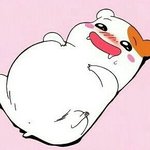 [댓글부탁해] <b>울프</b>죠 사고싶은데 어디꺼살까