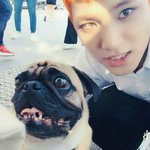[세븐틴] 민규 <b>렌즈</b> 정보 아는캐럿 ㅜㅜㅜㅠㅠㅠ
