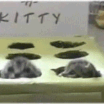 [EXO] 좀 <b>처자</b>라 자 ㅂㅅ아