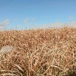 [BAP] 나를 만나려고 다들 줄서있는데