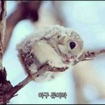 <b>츄</b>워