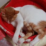 나의 동거남 <b>도칠</b>이에게 자리를 뺏김