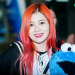 [다이아] 제니X예빈X<b>채연</b>