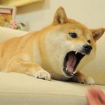 <b>짝</b><b>남</b>이랑<b>짝</b>됐다!!워후~