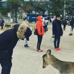[댓글부탁해] 얘들아 패딩 !!!