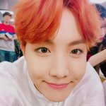 [방탄소년단] 호서가....아니<b>요정</b>님.....