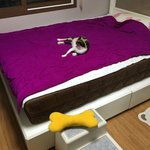 [조언부탁] 정든 길양이때문에 너무 속상합니다 눈물만나네요...